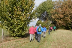 Foto: Gertrude Erlbeck -Nordic Walking