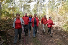 Foto: Gertrude Erlbeck -Nordic Walking