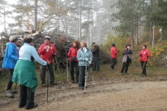 Foto: Gertrude Erlbeck -Nordic Walking