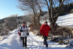 NordicWalking W2016_101