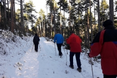 NordicWalking W2016_107