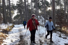 NordicWalking W2016_109