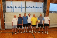ATSV Sengym Herbst 2017_07