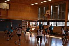 Volleyball - Heimspiel 2016_02_20